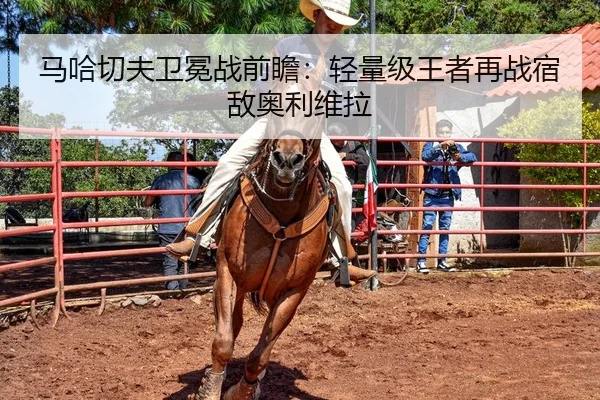 马哈切夫卫冕战前瞻：轻量级王者再战宿敌奥利维拉